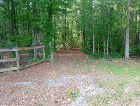 Pinegrove, SOPERTON, GA 30457