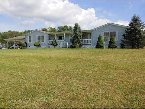 Scott, BLOUNTVILLE, TN 37617