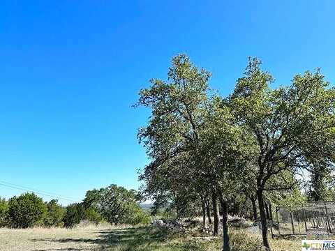 Sierra, NEW BRAUNFELS, TX 78132