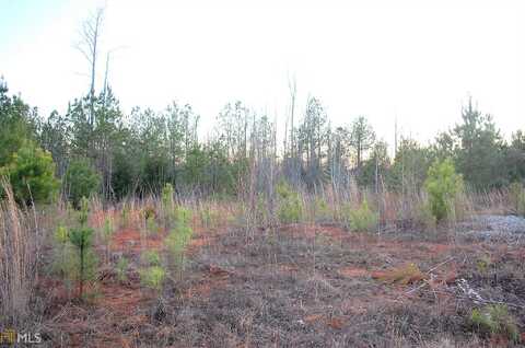 Bramble Bush, COVINGTON, GA 30014