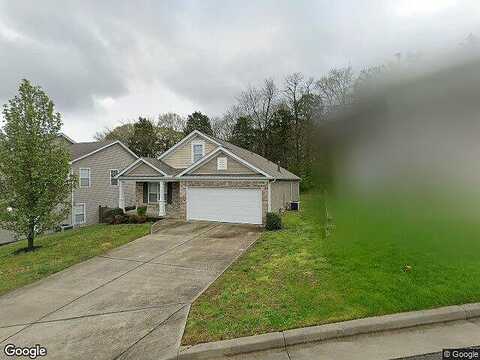 Stephens Ridge, ANTIOCH, TN 37013