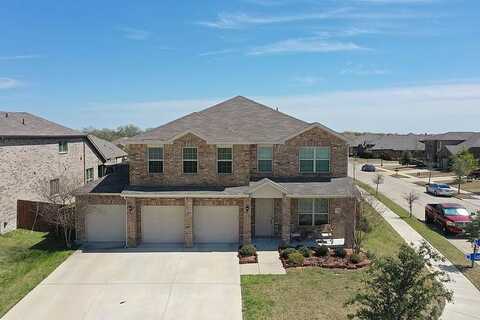 Lupine, FORNEY, TX 75126