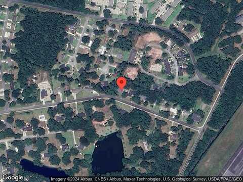 Palmetto, SAINT MARYS, GA 31558