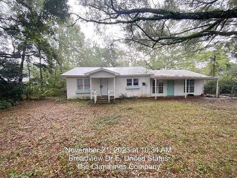 Broadview, THEODORE, AL 36582