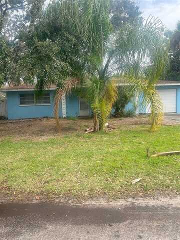 Donna, NEW PORT RICHEY, FL 34652