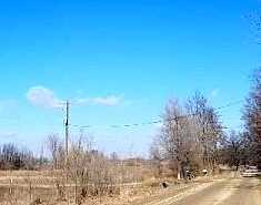 Colby Lake, LAINGSBURG, MI 48848