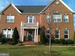 Flowering Dogwood, LORTON, VA 22079