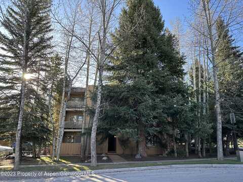 790 W Hallam Street, Aspen, CO 81611