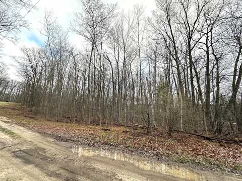 Scout Drive, Roscommon, MI 48653