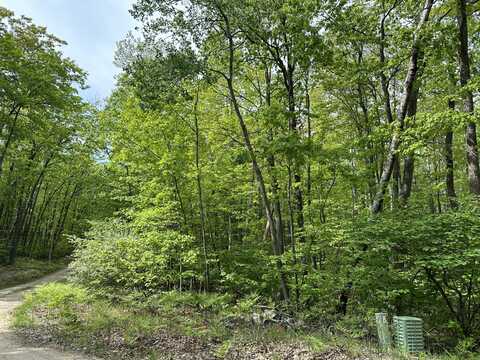 Scout Drive, Roscommon, MI 48653