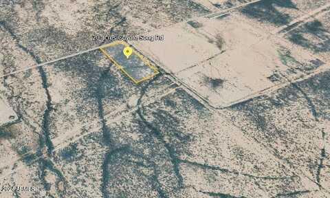 20 Acres W Coyote Song Road, San Simon, AZ 85632