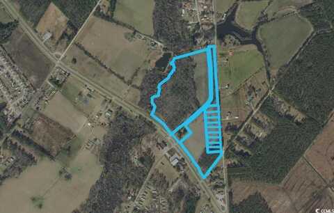 TBD 41.74 acres Highway 501 W, Conway, SC 29526