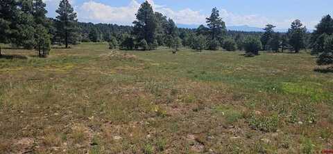 567 Sam Houston, Pagosa Springs, CO 81147