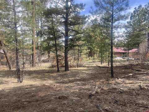 822 Hills Circle, Pagosa Springs, CO 81147