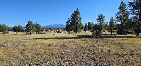 1570 Cool Pines, Pagosa Springs, CO 81147