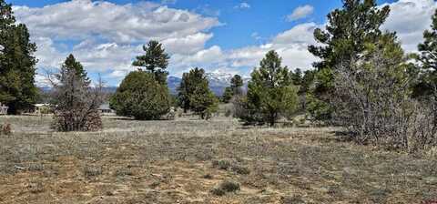 1570 Cool Pines, Pagosa Springs, CO 81147