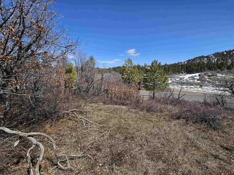 448 Clint Circle, Pagosa Springs, CO 81147