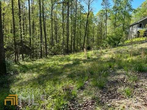 LOT 10 Acre Estates, Toccoa, GA 30577