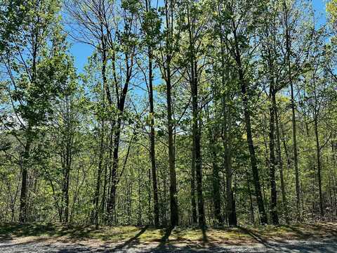 Lot 18 Mountain Dreams Way Way, Sevierville, TN 37862