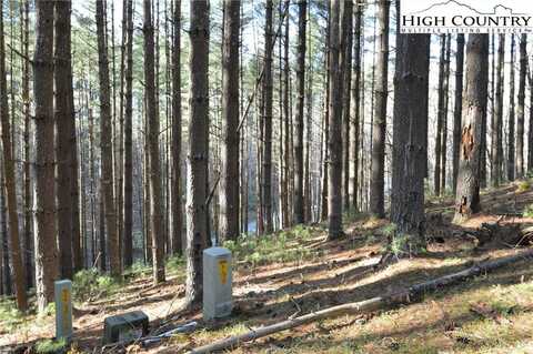 Lot #12 Enchanted Forest Drive, Piney Creek, NC 28663