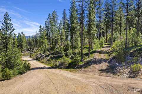 L24 B1 Elk Run, Idaho City, ID 83631