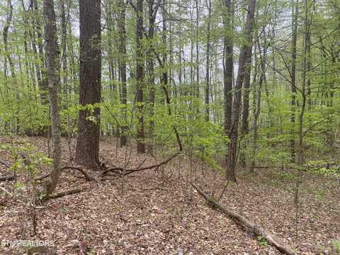 Lot #4,# 5 LAKEWOOD RD, Maynardville, TN 37807