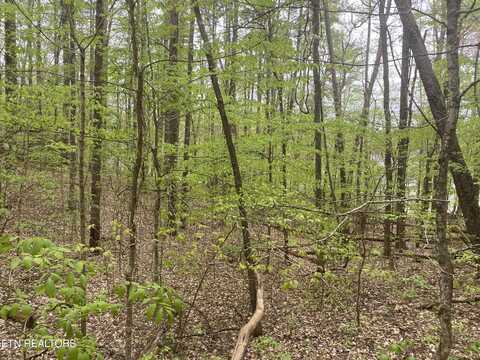 Lot # 6 LAKEWOOD RD, Maynardville, TN 37807