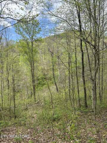 Holden Hollow Rd, Jamestown, TN 38556