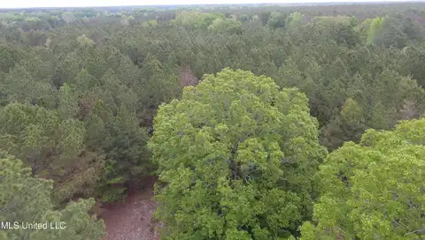 Lone Pine Church Road, Lena, MS 39094