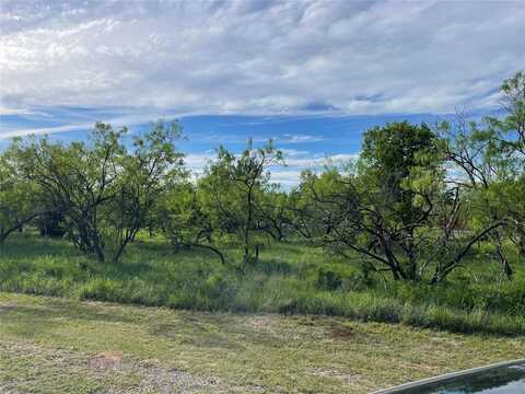 Lot 11 Little Valley Drive, Bridgeport, TX 76426