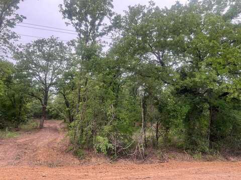 00 HAMILTON, Mineral Wells, TX 76067