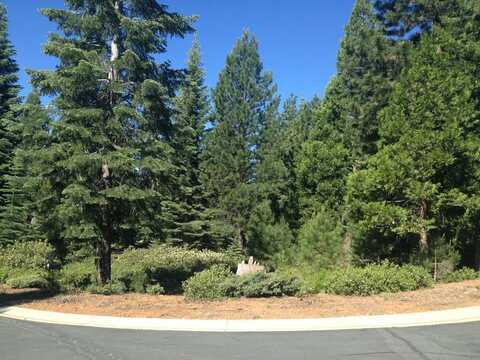 70 Grand Fir Road, Lake Almanor, CA 96137