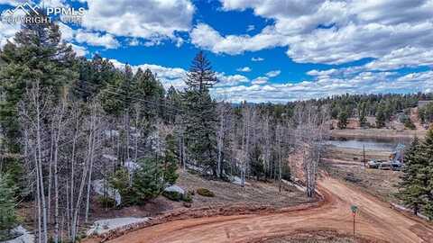 244 Spring Valley Lane, Florissant, CO 80816