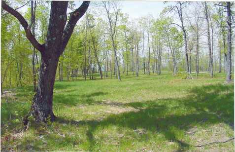 Lot 22 Greenfields Way S., Dunlap, TN 37327