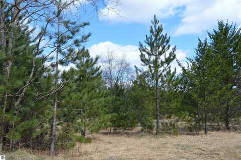 OFF WOOD ROAD, NE, KALKASKA, MI 49646