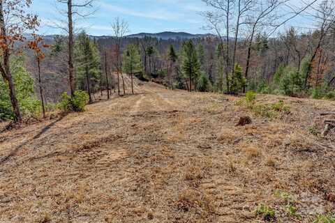 Tbd Walnut Hollow Road, Brevard, NC 28712