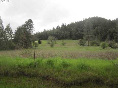 0 NE ORCHARD DR, Myrtle Creek, OR 97457