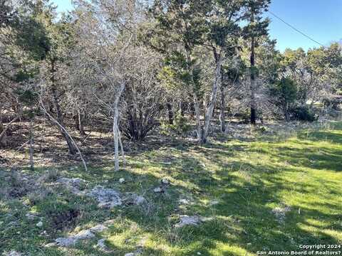 2319 FULLER DR, Canyon Lake, TX 78133