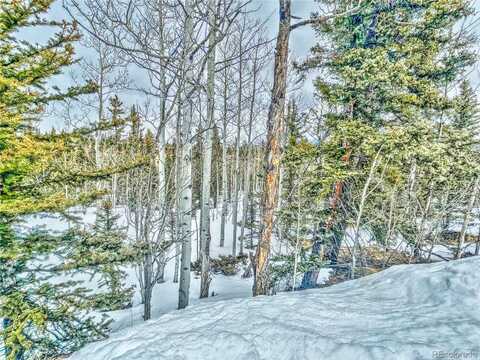 486 Pathfinder Road, Como, CO 80432