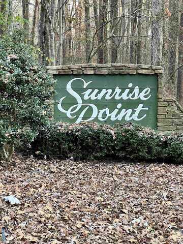 Lot 6 Whippoorwill Drive, Double Springs, AL 35553