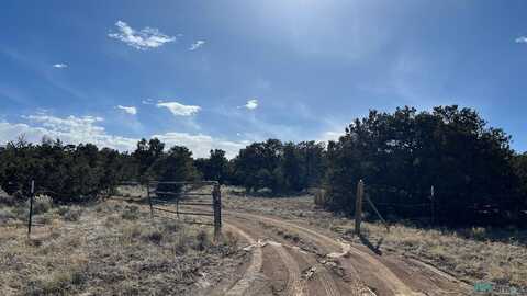 34 Dream Catcher Road, Fence Lake, NM 87315