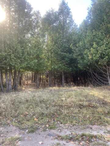 Lot 5 N Tower Street, Onaway, MI 49765