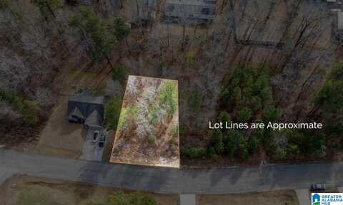 20391 CASTLE RIDGE ROAD, Mc Calla, AL 35111