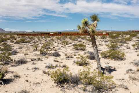 102 Moonlight Mesa Road, Joshua Tree, CA 92252