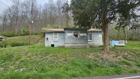 817 Emily Creek Rd, Pilgrim, KY 41250