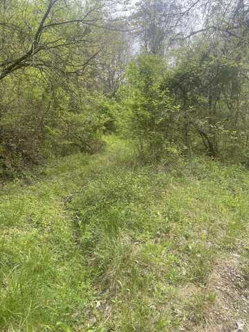 Lot 6 Talley road, Parrottsville, TN 37843