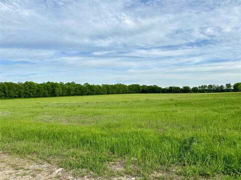 Lot 3 Cashs Mill Road, Sanger, TX 76266