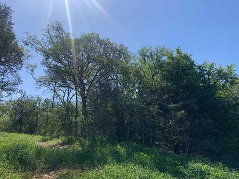 Lot 23 Shady Oak Lane, Valley View, TX 76272