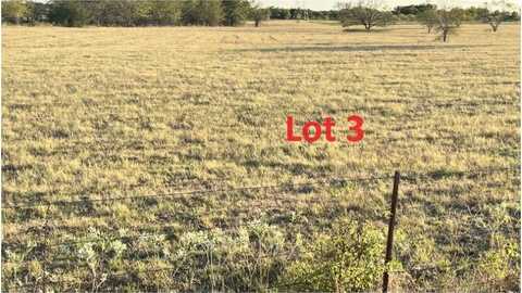 Lot 3 Cobler Rd Road, Collinsville, TX 76233