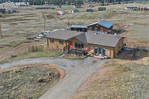 29 Ridge Point Circle, Divide, CO 80814